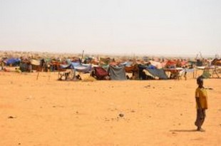 Un camp de réfugiés au Niger, près de la frontière malienne, le 4 février 2012  © AFP/Archives Boureima Hama