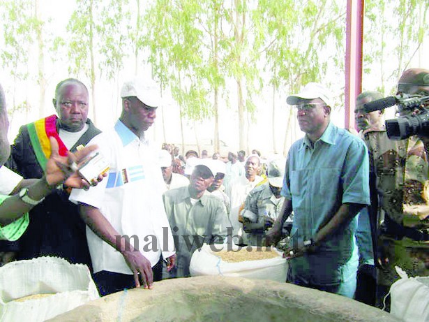 Le ministre Baba Berthé et le DG de l'ORS Babougou Traoré, devant la chaîne de nettoyage de semence 