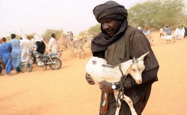 Un réfugié malien dans le camp de Mbéra, le 4 mai 2012  © AFP