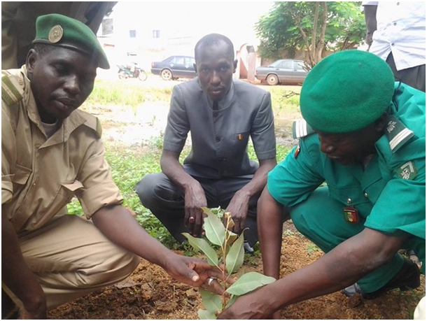 Opération dix mille plants pour ma commune :  Honorable Amadou Thiam donne le ton ! 
