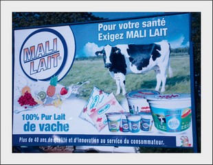 Mali-lait