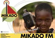 Partition programmée : Regardez bien le logo de MIKADO, la radio des Nations Unies au Mali, que vous inspire-t-il ? Notre analyse pour engager les débats sur la Paix et la Réconciliation nationale