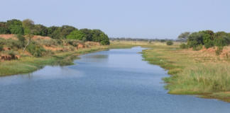 Fleuve Niger