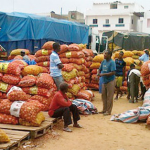 Marchés des légumes à Bamako : Quand les produits importés dament le pion aux productions locales