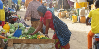 Mali: les nouvelles régions prêtes à relever les défis