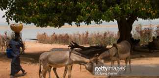 Mali, Near Segou, Segoukoro