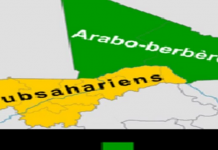 Nord Mali : Les Chamanamasse demandent la création de la région d’Alata