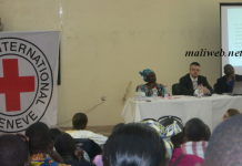 Droit international humanitaire : "Le Mali ne respecte pas ses engagements internationaux", dixit Dr. Woyo Konaté