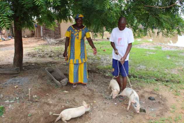 Visite du ministère de l’élevage et de la pêche dans le cercle de Tominian : La peste porcine africaine, une menace pour le développement économique