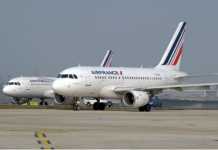 Mali : un avion d'Air France cloué au sol par un rongeur