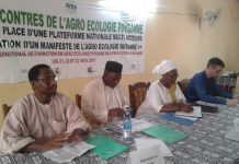Rencontre de Sélengué pour la mise en place d’une plateforme Agroécologique paysanne: Les acteurs se prononcent