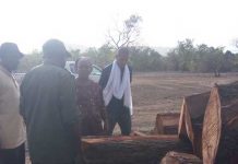 Narena : Deux cargaisons de bois de vène saisies par les eaux et forêts