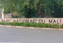 Parc National et jardin Zoologique de Bamako : de la détente aux salauperies