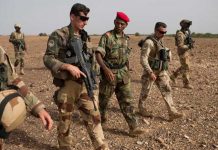Sahel : les forces armées maliennes et nigériennes au cœur des opérations conjointes