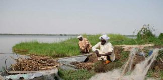 Des pêcheurs tchadiens réparent leurs filets sur l'île Midikouta sur le lac Tchad le 22 juillet 2017 / © AFP / CAROLINE CHAUVET