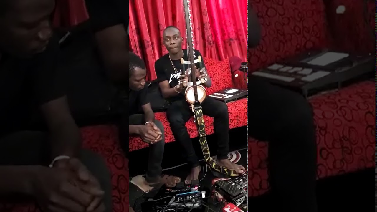 Toumani et Sidiki Diabaté, de la kora traditionnelle à l’électroacoustique