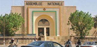 L'Assemblée nationale au Niger. © AFP/Sia Kambou