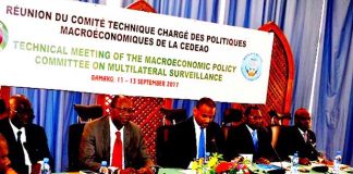 Bamako vient d'abriter deux rencontres d'experts de la Cedeao et des institutions régionales : La monnaie unique Cédéao au menu des échanges