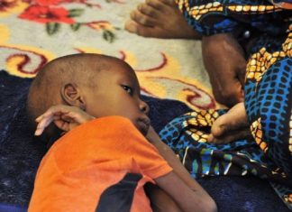 La situation de malnutrition est qualifiée de ''critique'' dans les régions de Gao et de Tombouctou touchées par l'insécurité.