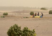 Des enfants drainent l'eau d'un petit puits, dans le nord du Mali, en 2015. © AFP/Philippe Desmazes