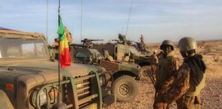 La Force conjointe du G5 Sahel, outil de développement ?