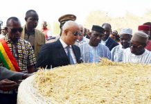 Développement industriel au Mali : Le ministre Mohamed Aly Ag Ibrahim visite la 1ère usine africaine de fabrique de contreplaqué à base de paille de riz