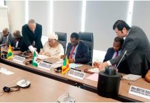 Interconnexion électrique Guinée-Mali : Un accord de 39,2 milliards de CFA signé avec la BAD