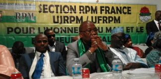 L’ingérence arbitraire de l’honorable Moussa Timbiné dans le processus de renouvellement des structures de la section RPM de France.