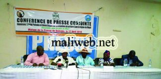 Insécurité dans la région de Mopti