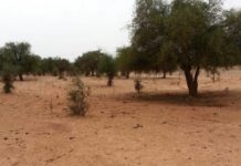 Dans la région de Tillabery, au Niger