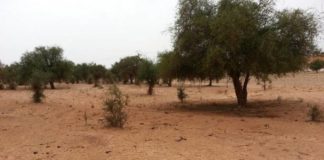 Dans la région de Tillabery, au Niger