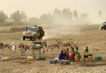 Des véhicules des forces de sécurité maliennes