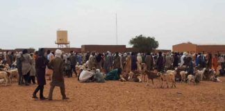 le marché à bestiaux de Ménaka