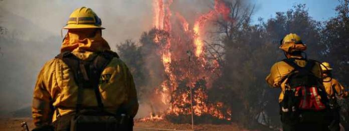 Des pompiers combattent un incendie à Malibu, en Californie (Etats-Unis), le 10 novembre 2018.