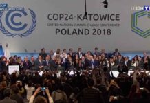 Cop 24