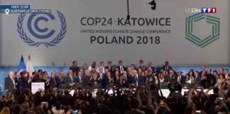 Cop 24