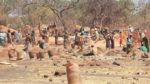 Un site d’orpaillage traditionnel dans la région de Sikasso