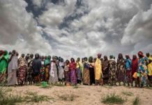 Un groupe de femmes dans un champ de sorgho ans la région de Maradi, au Niger
