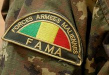 Un soldat porte le badge de l'armée malienne à Andéramboukane, dans l'est du Mali, le 22 mars 2019.