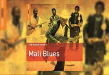 La compilation "Rough Guide to Mali Blues".