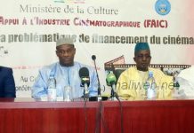 Problématique du financement de l'industrie cinématographique africaine