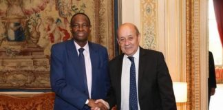 ministre Tiébilé Dramé « désavoue » l’ambassadeur Toumani Djimé Diallo