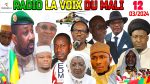 RADIO LA VOIX DU MALI