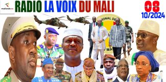 RADIO LA VOIX DU MALI